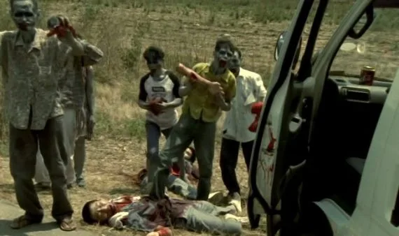 wildzero_screen2